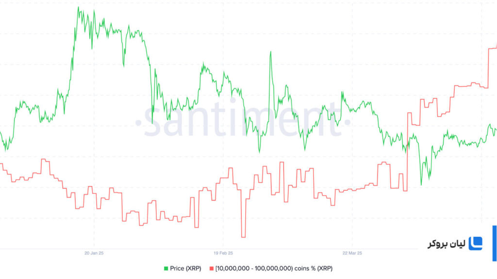 ادامه روند صعودی XRP در میان چندگانگی داده ها