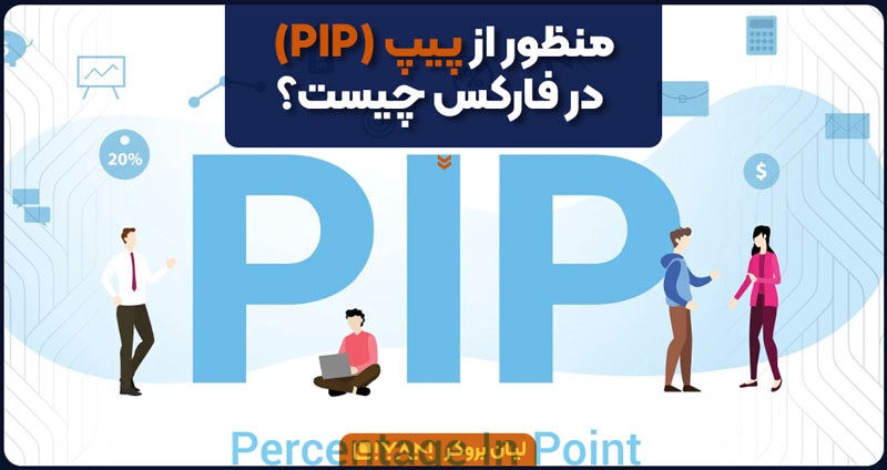 منظور از پیپ (PIP) در فارکس چیست؟