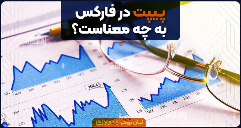پیپت در فارکس به چه معناست؟