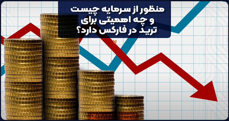 منظور از سرمایه چیست و چه اهمیتی برای ترید در فارکس دارد؟